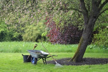 Gartenpflege